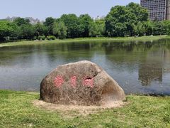 -堤角公园