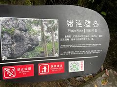 -梭布垭石林景区