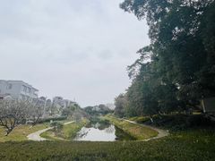 -大旗头古村