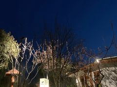 -思念果岭悦温泉