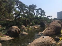 -罗红摄影艺术馆