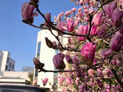 -北京邮电会议中心