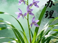 -闪电修企业手机电脑回收(西湖风景名胜区店)