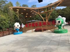 -东平国家森林公园