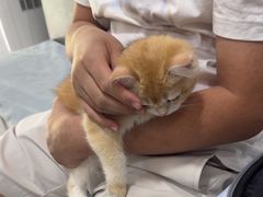 -中农国际动物医院24小时·猫科·骨科·急重症中心