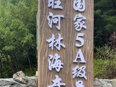 -汤旺河林海奇石景区