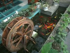 -悦真雅院·四合院·清真私房菜(雍和宫店)