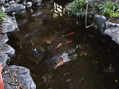 -荔湾湖公园