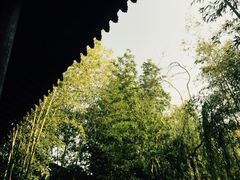 -茶肆(袁家村店)