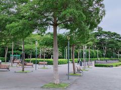 -深圳湾公园(南山区)