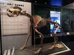 -北京周口店北京人遗址博物馆