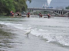 -生态苑农庄(十里画廊遇龙河店)