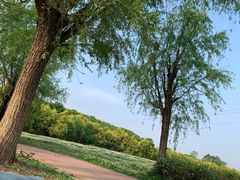 -白鹭湾湿地公园