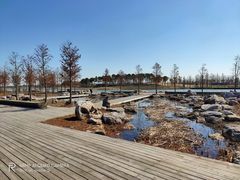 -春花秋色城市公园