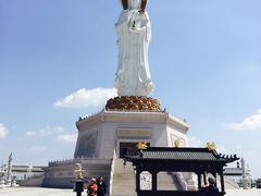 -呼兰河口湿地公园