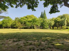 -宜兴龙背山森林公园