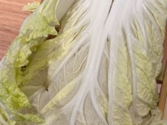 -蝎王府羊蝎子(西直门店)