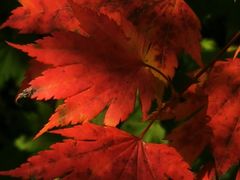 -本溪老边沟风景区