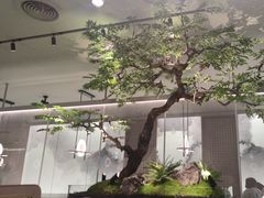 -绿茶餐厅(港惠购物中心店)