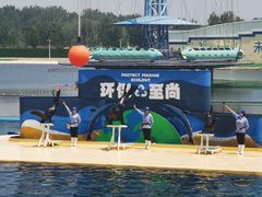 -秦皇岛乐岛海洋王国