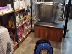 -PETKIT小佩宠物·低压洗护(国顺东路店)