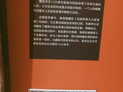 -武汉钻石艺术博物馆