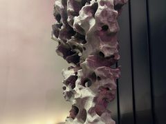 -单家老院·院子里的青岛菜(沙子口店)