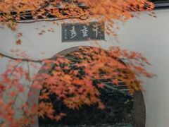 -宋宴(虎跑店)