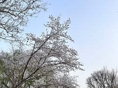 -七仙岭温泉国家森林公园