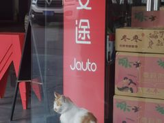 -京东养车(恒大绿洲北门店)