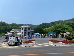 -棒棰岛宾馆景区