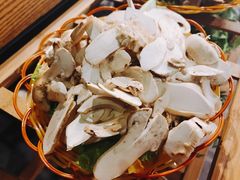 -菌海森林·非遗野生菌火锅(西山区滇池路摩根道店)