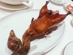-东富酒家(龙湖西溪天街店)