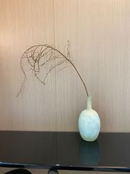 -铂诗玥医美