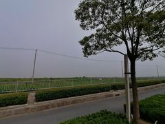 -春花秋色城市公园