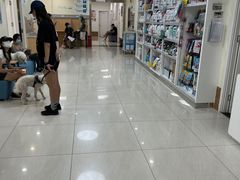 -美联众合动物医院·24h京西诊疗中心