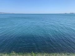 -悦海公园