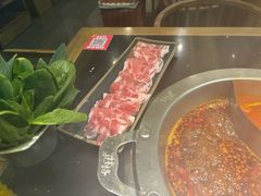 -井格重庆火锅(西直门凯德Mall店)