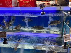 -大润发(高鑫广场店)