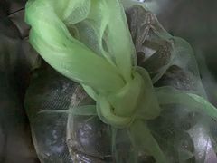 -阳澄湖大闸蟹·琼灵阁牌品牌连锁(吴中总店)