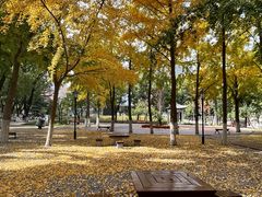 -山东大学(趵突泉校区)
