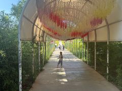 -西部长青自然儿童乐园