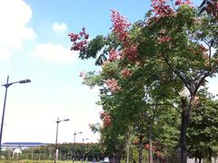 东南大学(九龙湖校区)-东南大学(九龙湖校区)