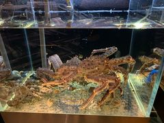-璞御·海鲜·雪花牛肉局(宾水西道店)