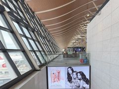 -上海浦东国际机场-T2航站楼