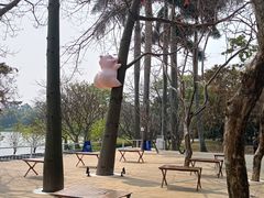 -海珠湖公园