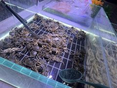 -聚盛源蒸汽海鲜火锅烤肉自助(巨川金海岸购物广场店)