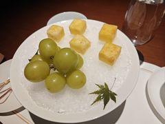 -觀芷隐轩