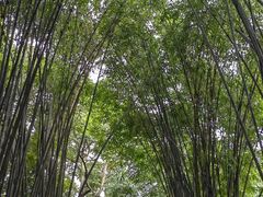 -成都杜甫草堂博物馆