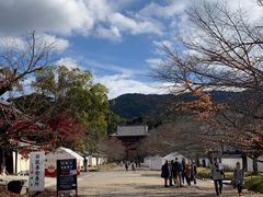 -醍醐寺